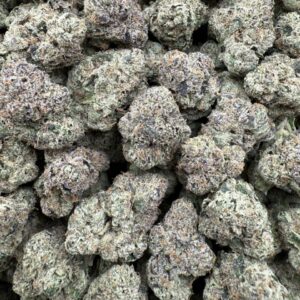 Presidential Candy - Indoor