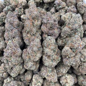 Hawaiian Snow - Licensed Grade A+ Indoor