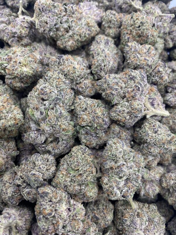 Triple Scoop 🥶 - Licensed branded Indoor