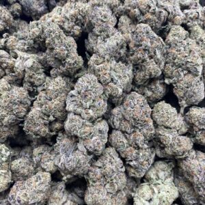 Candied Yams - Licensed branded indoor passer