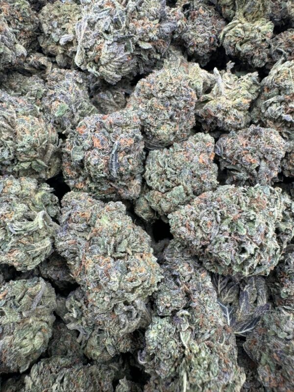 Gelato-45