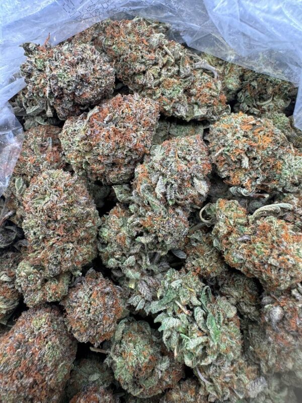 Platinum Latto