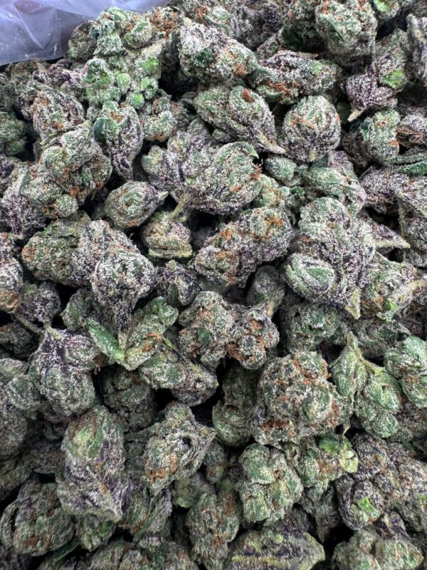 Grape Candy Runtz Small