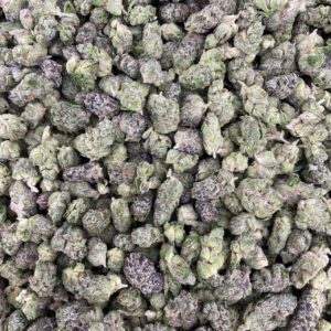 Blue Fanta - Indoor Smalls