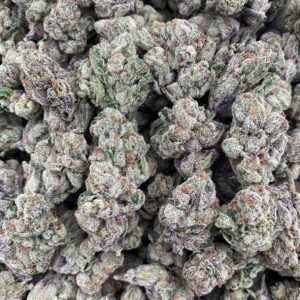 Double Runtz - Indoor