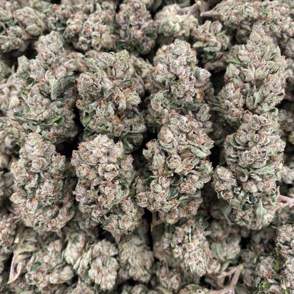 Saturn OG