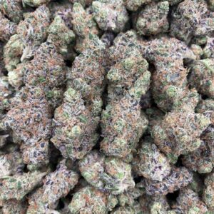 Dragon Breath - Indoor