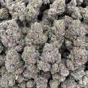 Purp Popz - Indoor