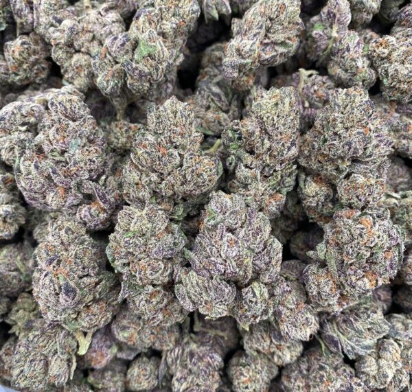 Purp Popz - Indoor