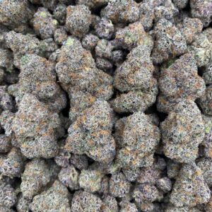 Wonka Bars - Indoor