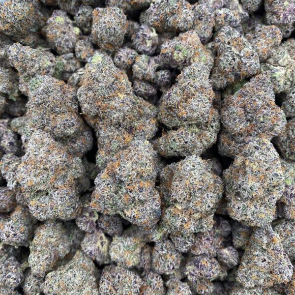Wonka Bars - Indoor