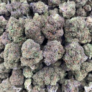 Purple LCG