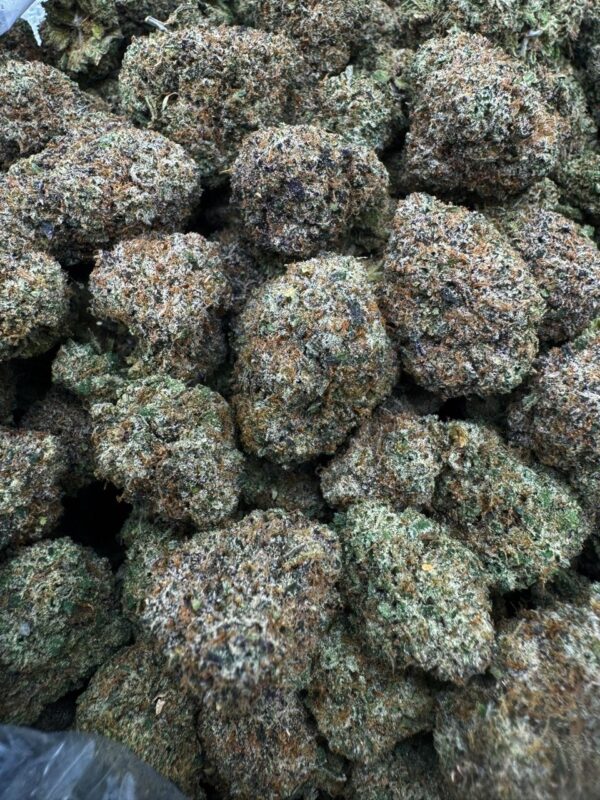 Bubblegum Candy
