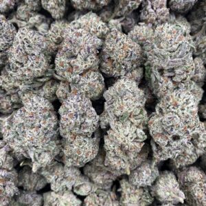 Astro Candy - Indoor