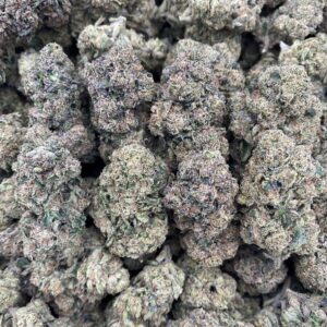 Sunset Candy - Indoor