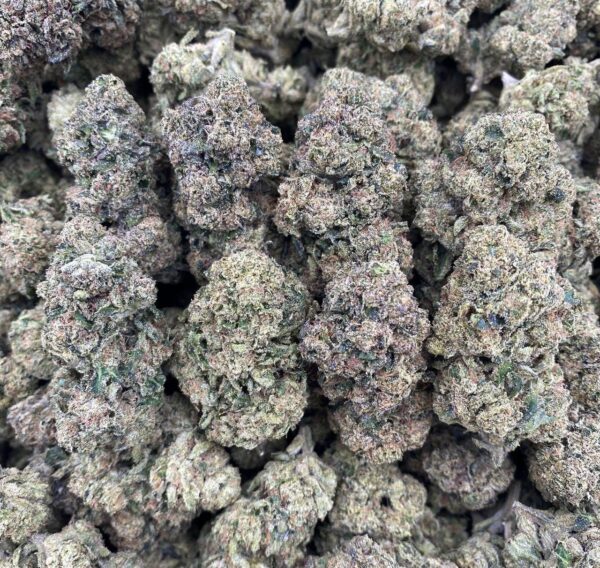 Sunset Candy - Indoor