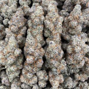 Airhead - Indoor😤