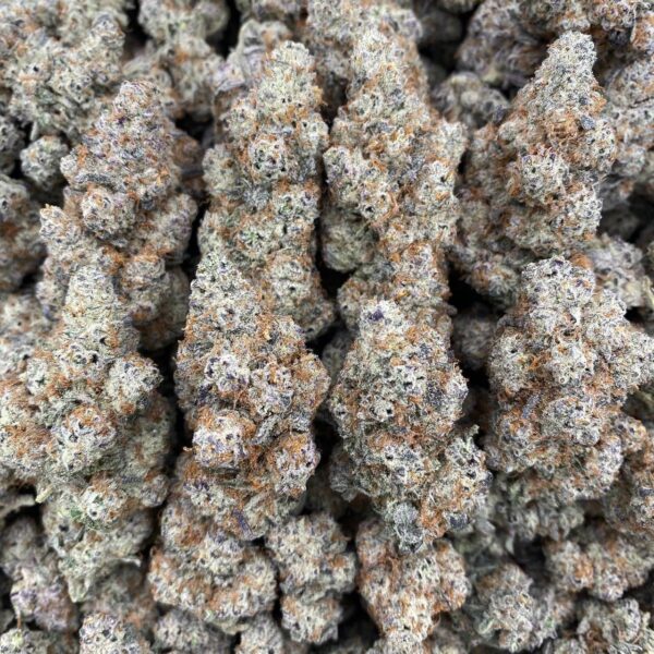 Airhead - Indoor😤
