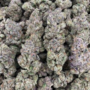 Double Runtz Candy - Indoor