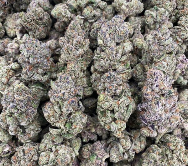 Double Runtz Candy - Indoor