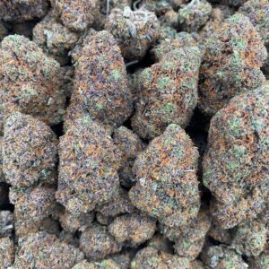 Luck Charms - Indoor 🍀