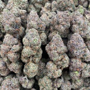 Bolo Candy - Indoor