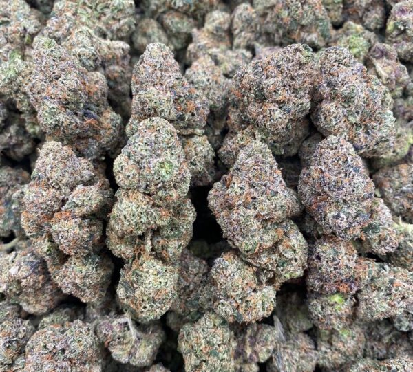 Bolo Candy - Indoor