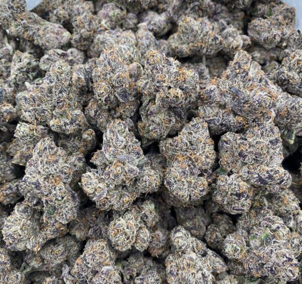 Super Lemon Gelato - EXOTICS 🍧