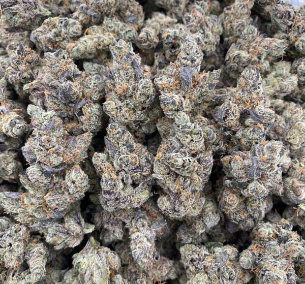 Blue Candy Pop - EXOTICS 🍭
