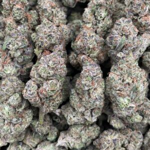 Black Truffle
