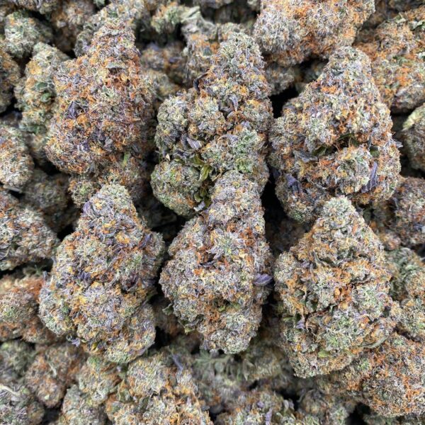 Black Widow - Indoor