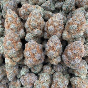 Super Boof - Indoor