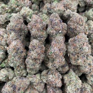 Rocket Pop - indoor 🚀