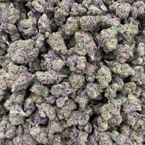 G33 - Indoor smalls