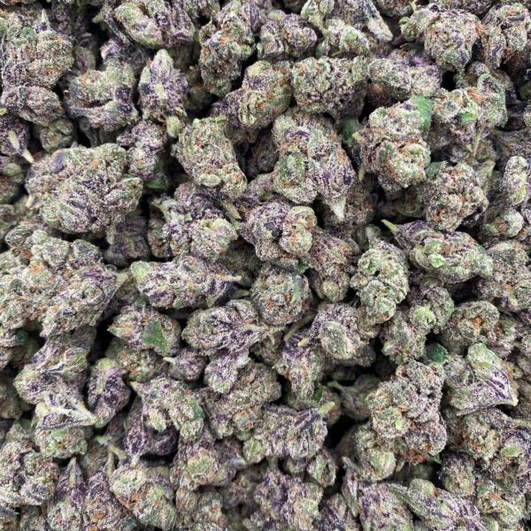 G33 - Indoor smalls