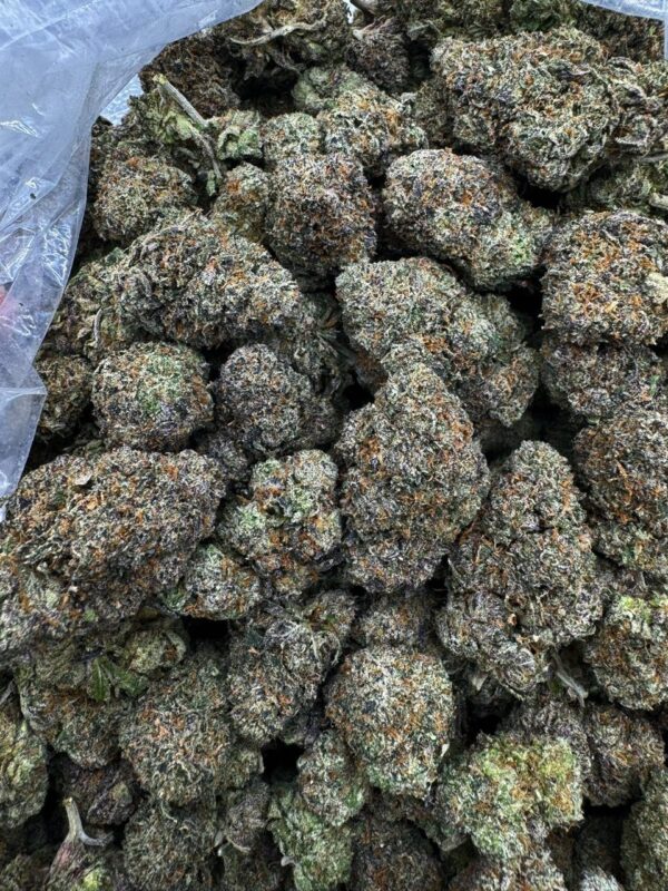 Purple Cherry Runtz