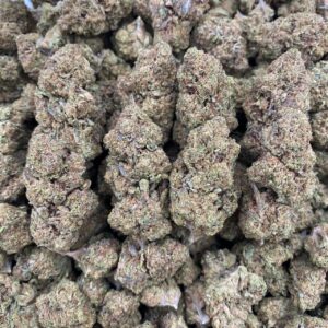 Sugar Cookies 🍪