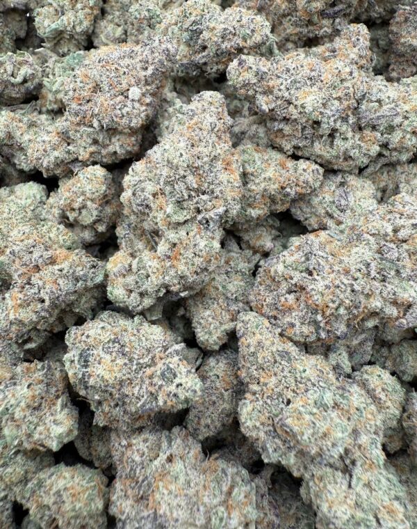 Purple Mac👽