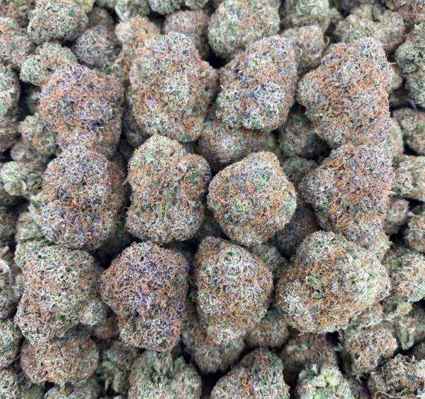 Cry Baby Candy - Indoor