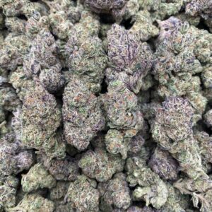 WokHart - Indoor💛