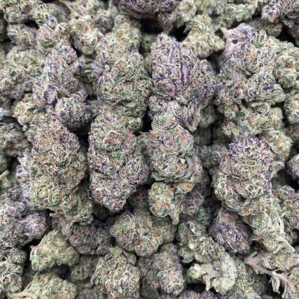 WokHart - Indoor💛
