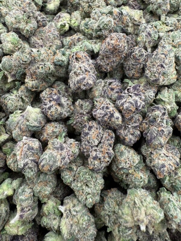 Scotty Runtz Med - Licensed Indoor 🔥