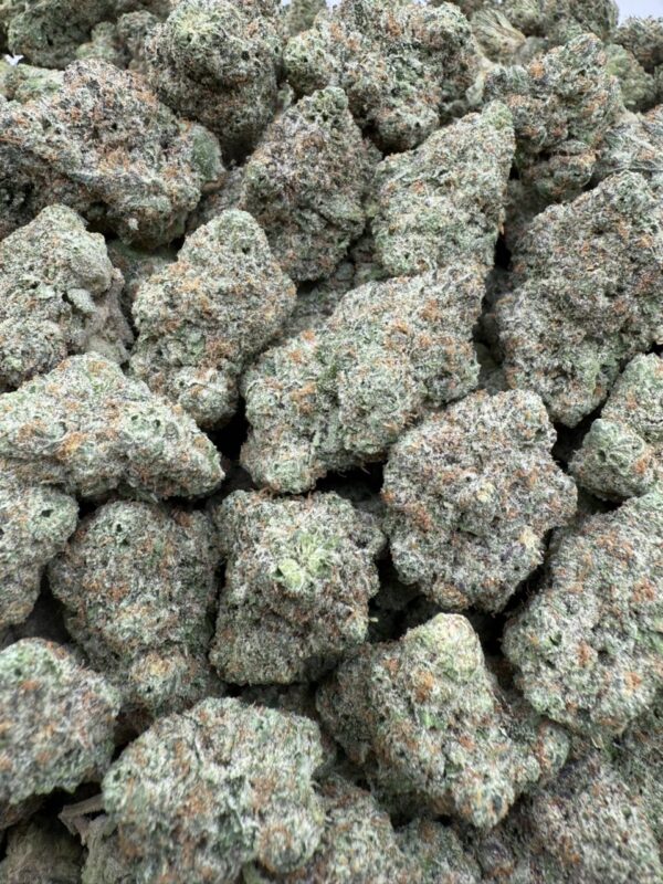 Butter Cake 🧁- Licensed indoor