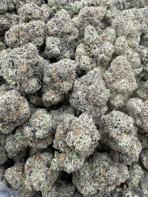 Zaambie Candy - EXOTIC🍭