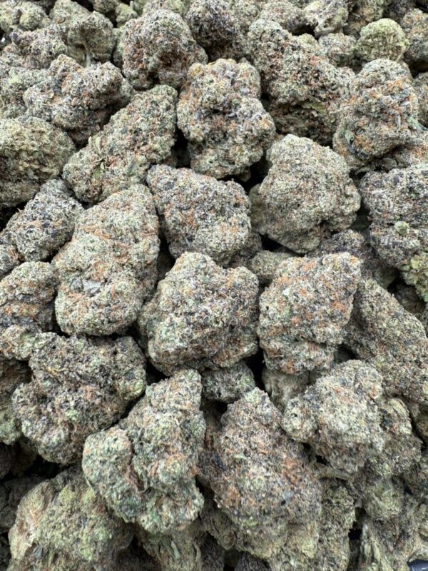 High Chew - Licensed Indoor
