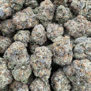 Blue Guava Gelato - Indoor🔥
