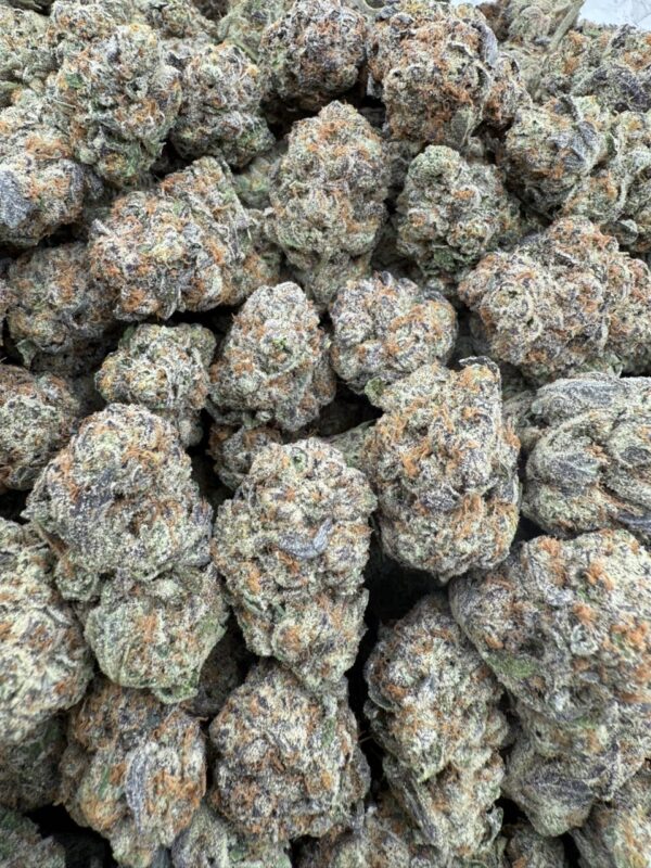 Blue Guava Gelato - Indoor🔥