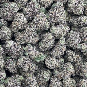 Larry Runtz Mediums - Licensed Gas🔥⛽️
