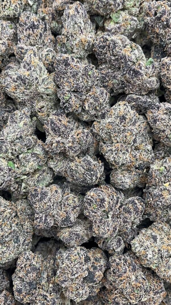 blue permafrost🔥