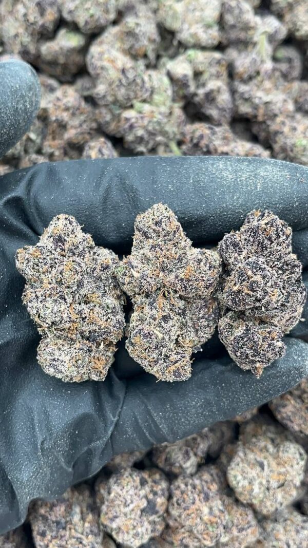 blue permafrost🔥 - Image 2